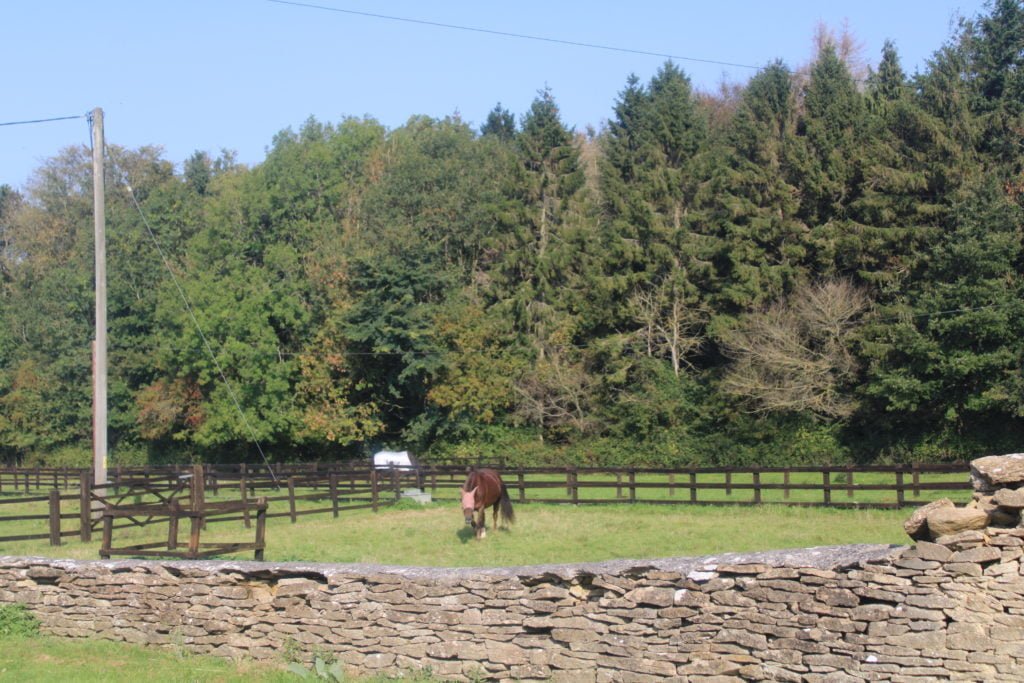 Reitinternat