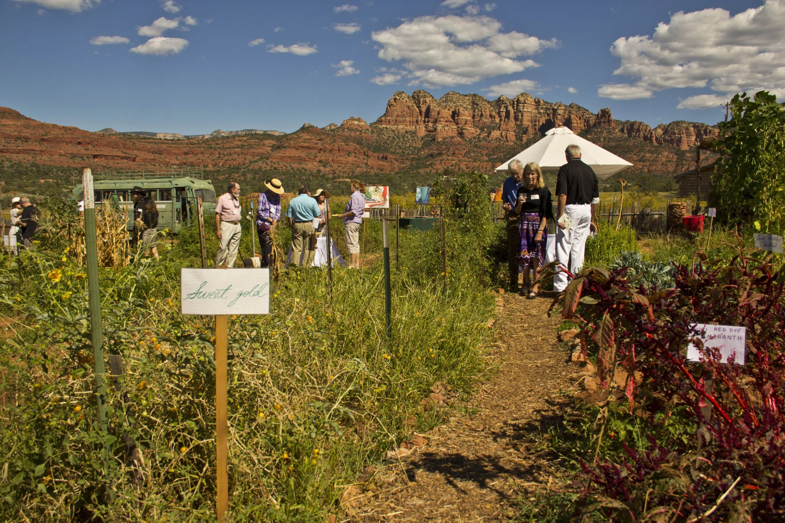 Verde Valley School Verde Valley School