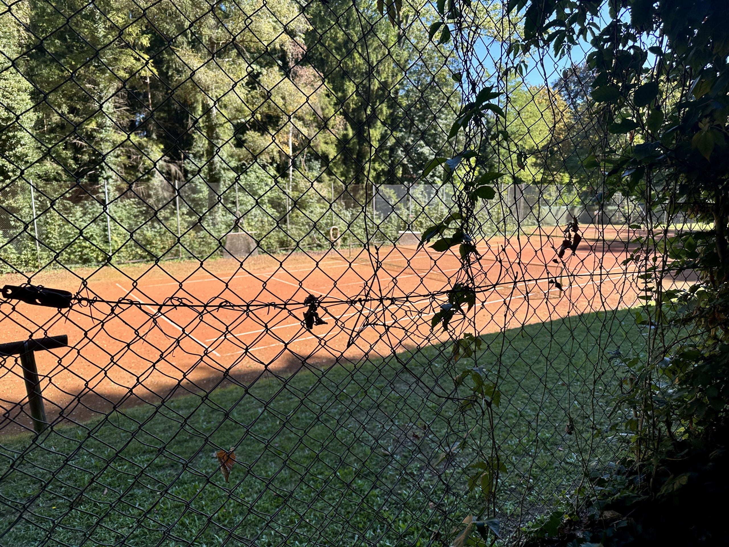 Landheim Ammersee in Deutschland bietet Schülerinnen und Schülern Zugang zu hervorragenden Tennisanlagen. Die Schule ist ideal für Tennisliebhaber, die ihre Fähigkeiten weiterentwickeln möchten.