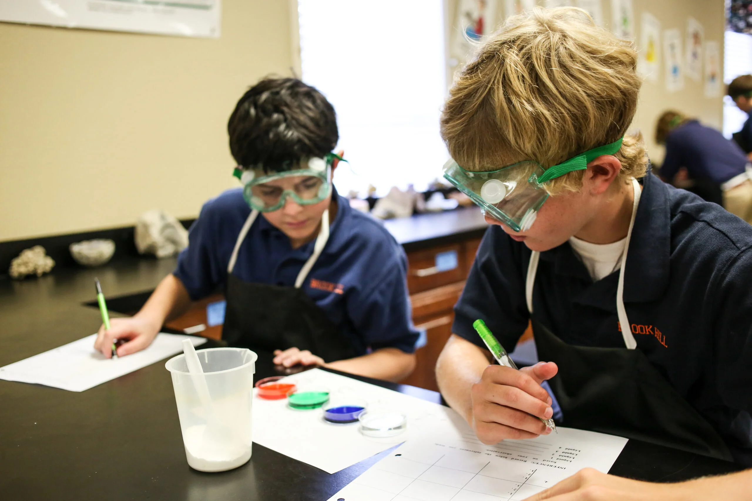 Brook Hill School