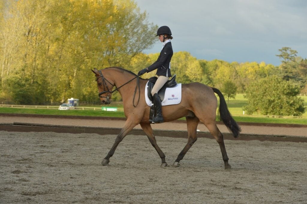 Reitinternate England