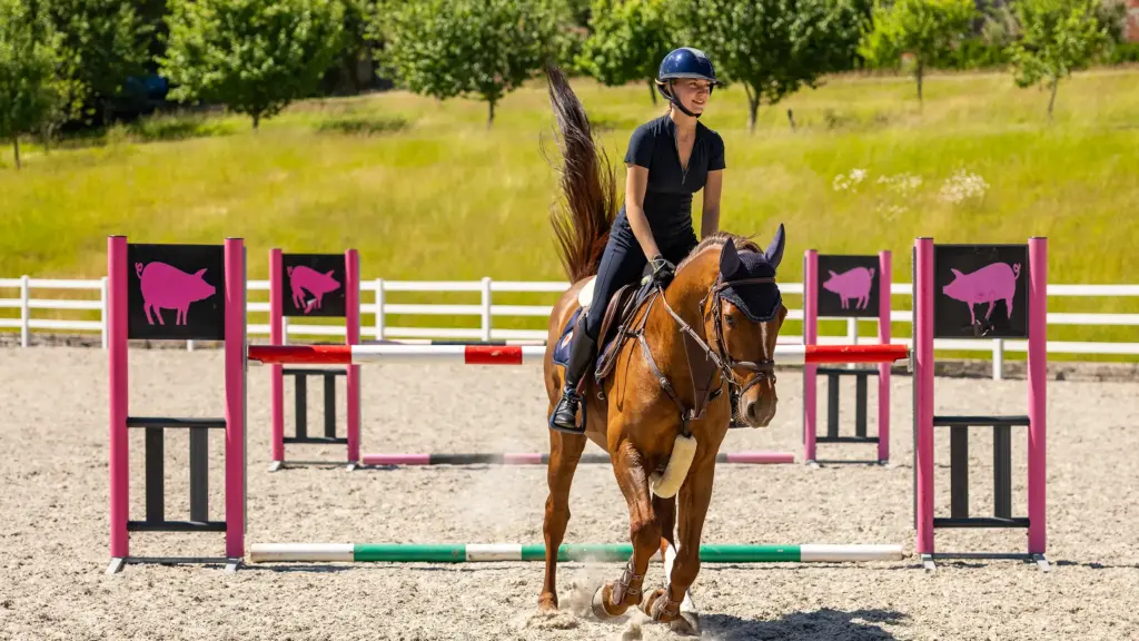 Reitinternate England