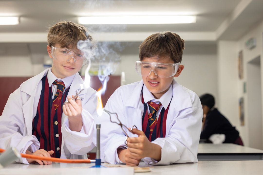 Buckswood School Buckswood School