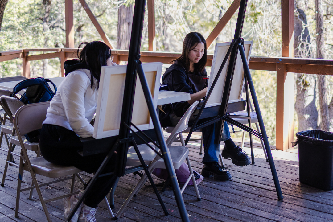 Idyllwild Arts Academy