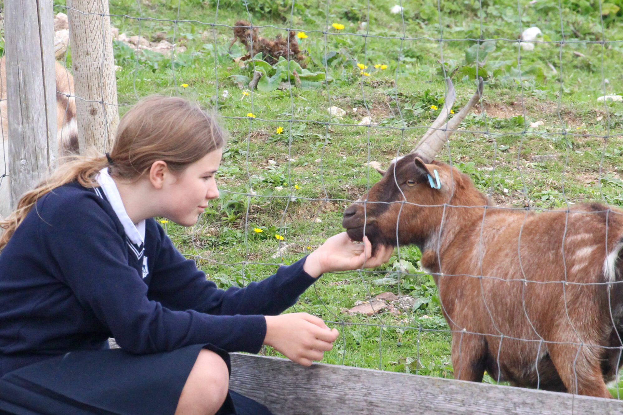 Roedean School