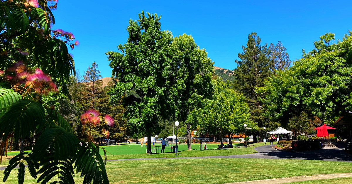 San Domenico School